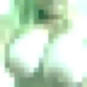 Photo sexy de Zara, 42 ans à Cesny-les-Sources - rencontre sans lendemain