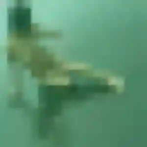 Profil de Mounia à Chabottes (34 ans) - beurette discret