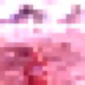 Photo perso de Sanaa, 28 ans à Chabottes - rencontre coquine