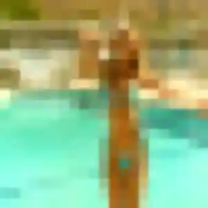 Photo perso de Saida, 37 ans à Chaffois - rencontre coquine