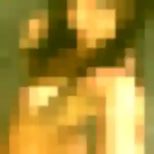 Sexy Alina, 32 ans à Chambon-sur-Voueize - voir sa photo