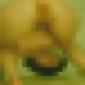 Tinhinane (42 ans) à Chamigny cherche un beurette ce soir