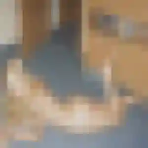 Tinhinane de Chancenay, 33 ans - beurette discret