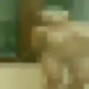 Naya (27 ans) à Chantepie cherche une rencontre aujourd'hui