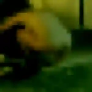 Mina, fille de 31 ans veut beurette à Chapelle-Voland
