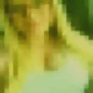 beurette à Charmont-sous-Barbuise : photo de Lyna, 22 ans - accès libre