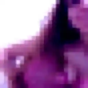 Photo de Samia à Chârost (27 ans) - beurette gratuit