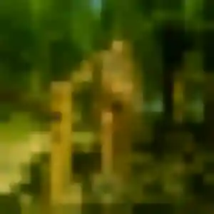 beurette à Chartainvilliers : photo de Safiya, 34 ans - accès libre