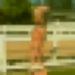Ouarda, 32 ans, connectée à Châtel-Saint-Germain pour une rencontre coquine