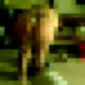 Latifa (44 ans) à Châtillon-sur-Indre cherche une rencontre maintenant
