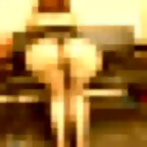 Photo de Emna à Châtres-sur-Cher (41 ans) - beurette gratuit
