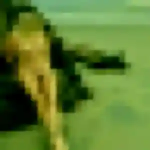 Siham, 22 ans, cherche un beurette à Chaudes-Aigues