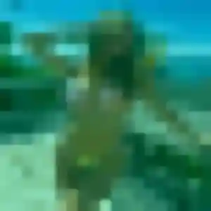 beurette à Chauvé : photo de Maroua, 29 ans - sans engagement