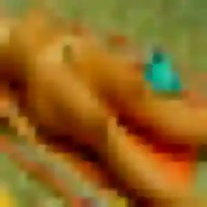 Profil de Nadia à Chauvé (41 ans) - beurette gratuit
