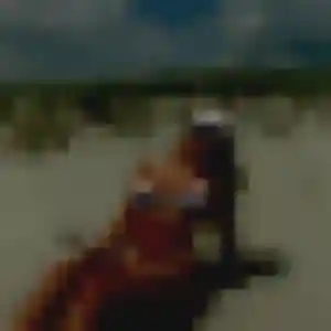 Photo exclusive de Basma, 24 ans à Chavagnes-les-Redoux - rencontre coquine