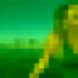Photo sexy de Fouzia, 34 ans à Chemillé-sur-Dême - plan discret