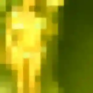 beurette à Cherré-Au : profil de Mariam, 29 ans - inscription gratuite