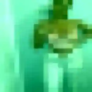 Photo exclusive de Sanaa, 24 ans à Cherveux - rencontre sans lendemain