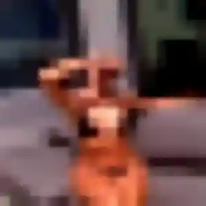 Photo exclusive de Emna, 44 ans à Chevagnes - rencontre coquine