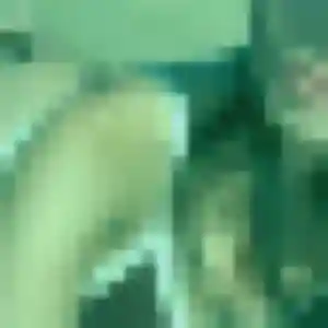 Contacte Linda, 31 ans à Chevagny-les-Chevrières en t'inscrivant