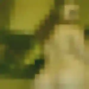 Ahlam (24 ans) à Chevrier cherche une rencontre rapidement
