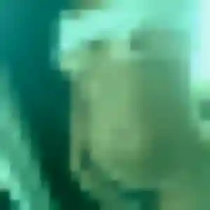 Profil de Rokia à Chomérac (24 ans) - beurette anonyme