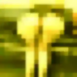 Photo exclusive de Wahiba, 24 ans à Citers - rencontre coquine