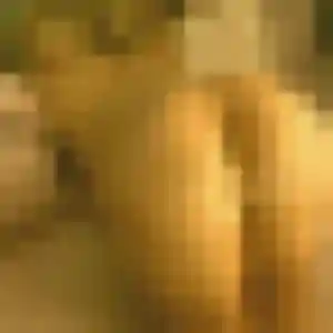 Photo privée de Nawal, 43 ans à Clairvaux-les-Lacs - rencontre sans lendemain
