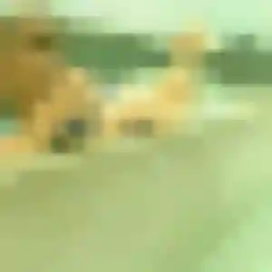 Découvre Saida, 34 ans à Clastres en t'inscrivant