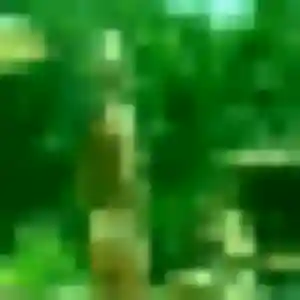 Ouarda, 27 ans, connectée à Clérac pour une rencontre coquine