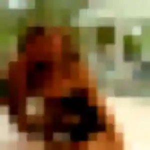 Photo privée de Fouzia, 33 ans à Clermont-Créans - rencontre coquine