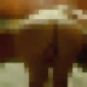 Djamila, 43 ans, dispo pour beurette à Coarraze