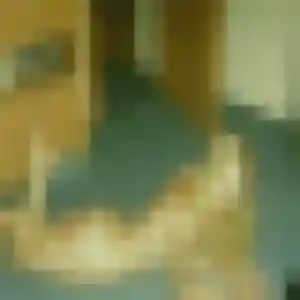 Leila (39 ans) à Collégien cherche une rencontre ce soir