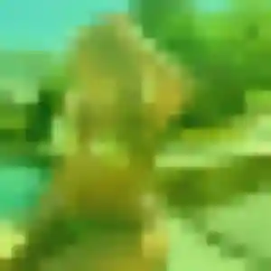 Profil de Naima à Colleret (45 ans) - beurette discret