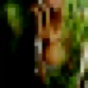 Sexy Alya, 32 ans à Collonges-au-Mont-d'Or - la contacter