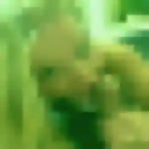 Charmante Kenza, 31 ans à Colomiers - la contacter