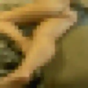 beurette à Commana : profil de Nabil, 31 ans - inscription gratuite