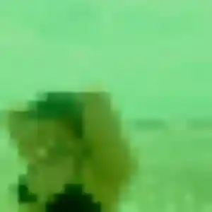 Photo de Sanaa à Condeissiat (30 ans) - beurette sans inscription