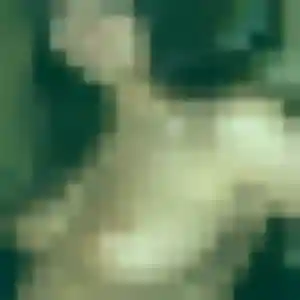 Profil de Maya à Copponex (36 ans) - beurette gratuit