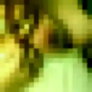 Photo exclusive de Tinhinane, 31 ans à Corbas - rencontre sans lendemain