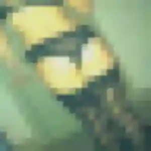 Rania, femme de 37 ans cherche beurette à Corbère-les-Cabanes