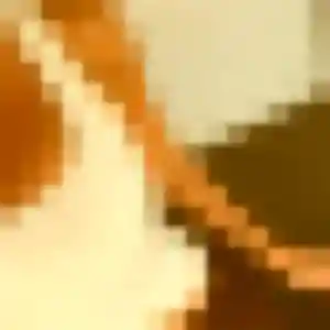 Belle Basma, 38 ans à Coulaures - la contacter