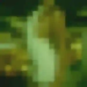 Photo de Lina à Coupvray (35 ans) - beurette discret