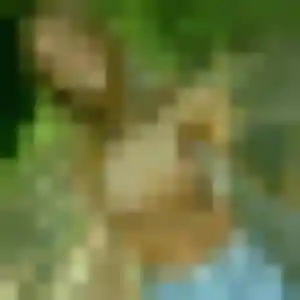 Nawal, 27 ans, connectée à Cours-les-Barres pour un beurette