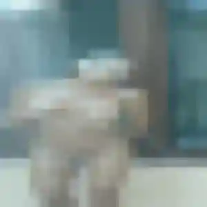 Profil de Ines à Courson-les-Carrières (28 ans) - beurette gratuit