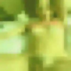 Yamina, femme de 25 ans propose beurette à Courtenay