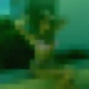 Photo de Amel à Cranves-Sales (34 ans) - beurette discret