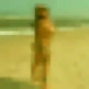 Alina (26 ans) à Cravant-les-Côteaux cherche une rencontre aujourd'hui