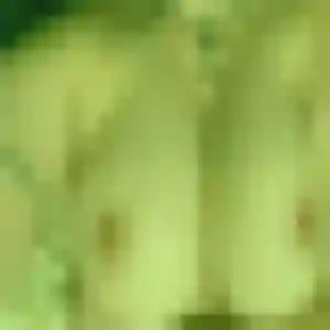 beurette à Crouy-en-Thelle : profil de Sonia, 34 ans - inscription gratuite