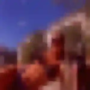 Nabila, 30 ans, disponible à Cursan pour une rencontre coquine